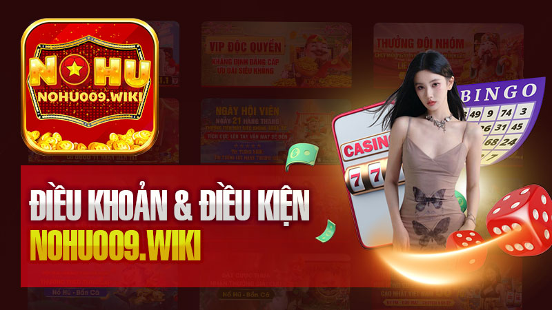 Nội Dung Các Điều Khoản và Điều Kiện Sử Dụng Dịch Vụ tại Nohu009.